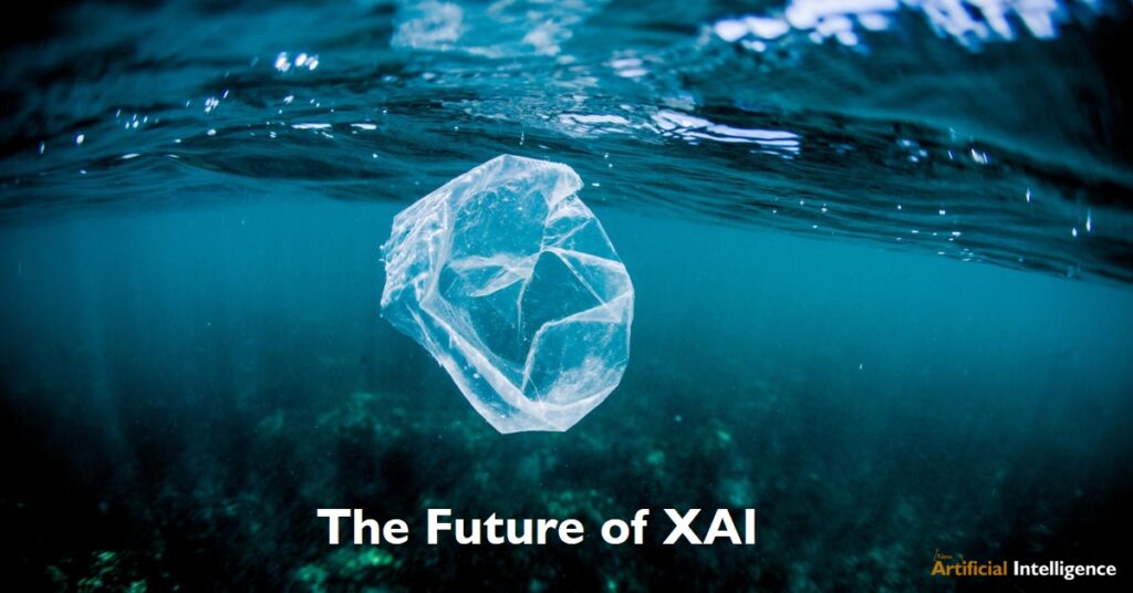 The Future of XAI